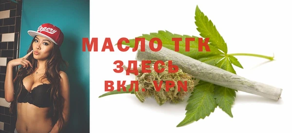 гашик Арсеньев