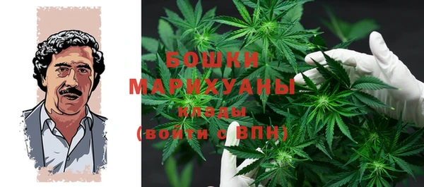 гашик Арсеньев