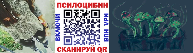 OMG ТОР  Полярные Зори  Псилоцибиновые грибы мицелий 